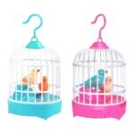 Bird Singing Toys